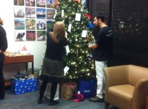 An image of ACF staff and volunteers collecting hats and mittens from our holiday giving tree.