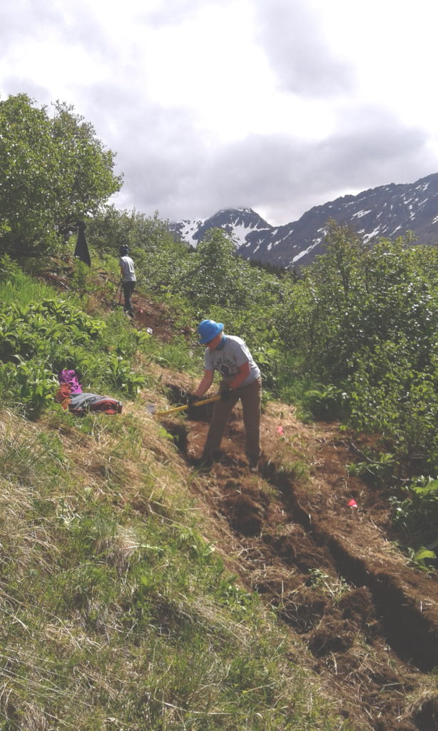 The Haines Support Chain links people in need with willing volunteers in the Chilkat Valley